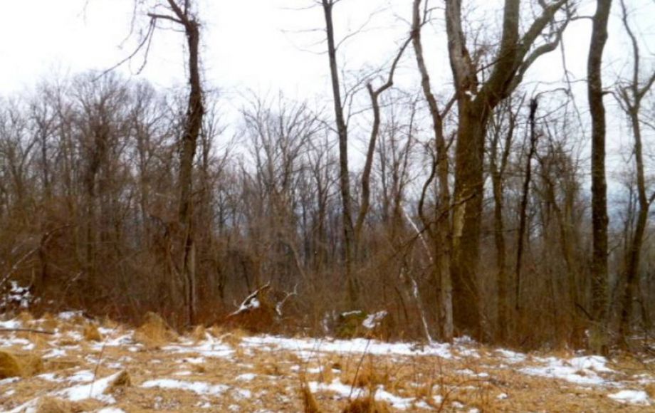 Image for 42 +/- ACRES in LOUDOUN COUNTY, VA