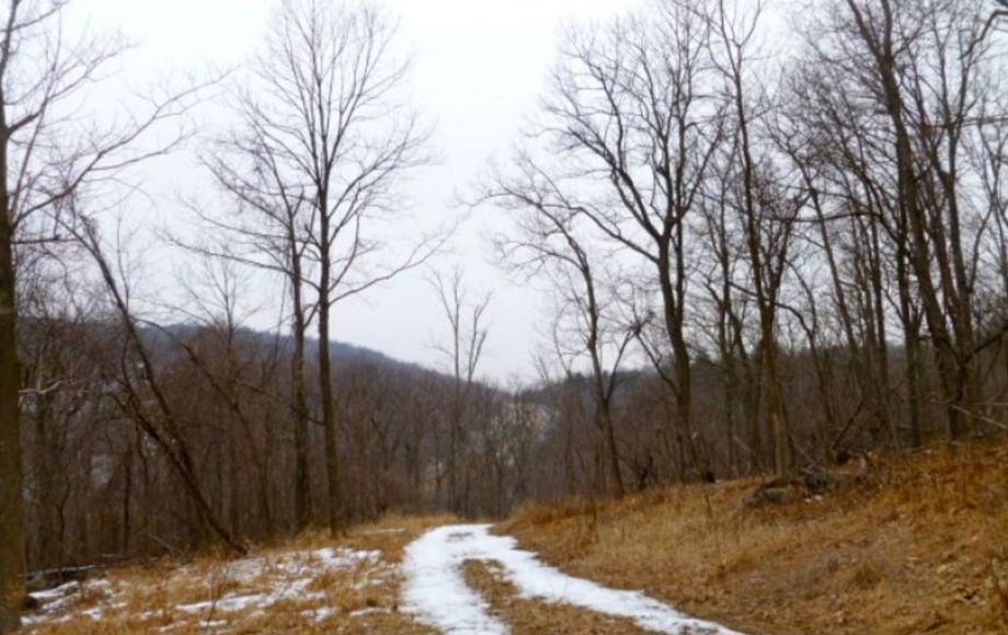 Image for 42 +/- ACRES in LOUDOUN COUNTY, VA