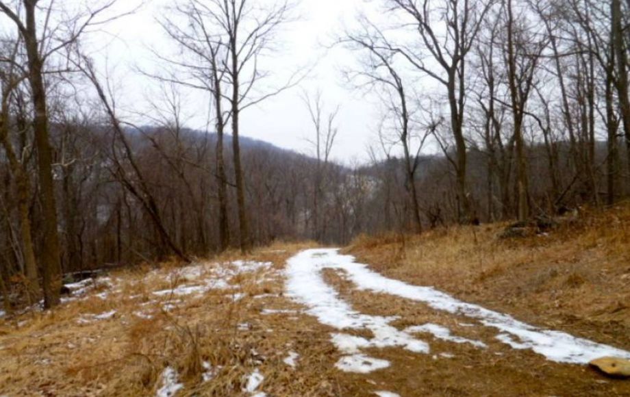 Image for 42 +/- ACRES in LOUDOUN COUNTY, VA