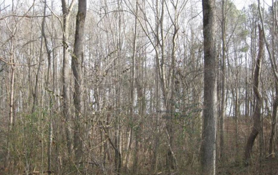 Image for 27 LAKE GASTON BUILDING LOTS & 2 TIMBER LOTS