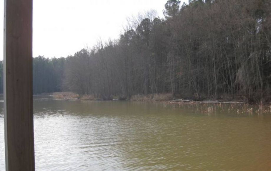 Image for 27 LAKE GASTON BUILDING LOTS & 2 TIMBER LOTS