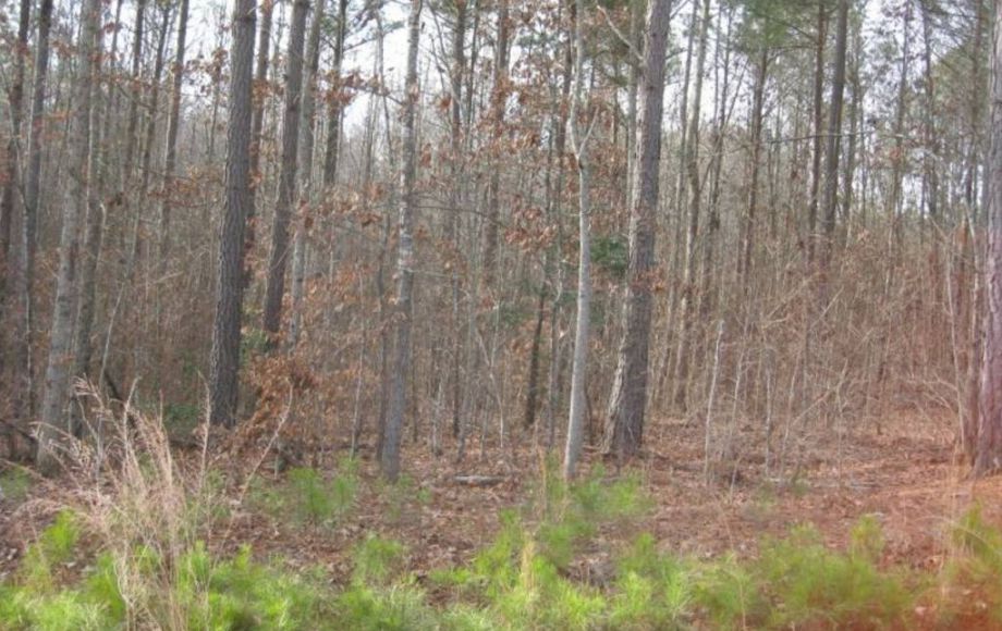 Image for 27 LAKE GASTON BUILDING LOTS & 2 TIMBER LOTS