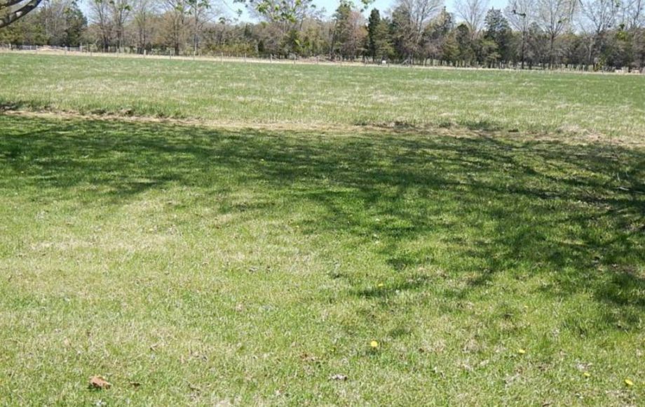 Image for BRICK 3 BR/2 BA HOME on 2.9 ACRES