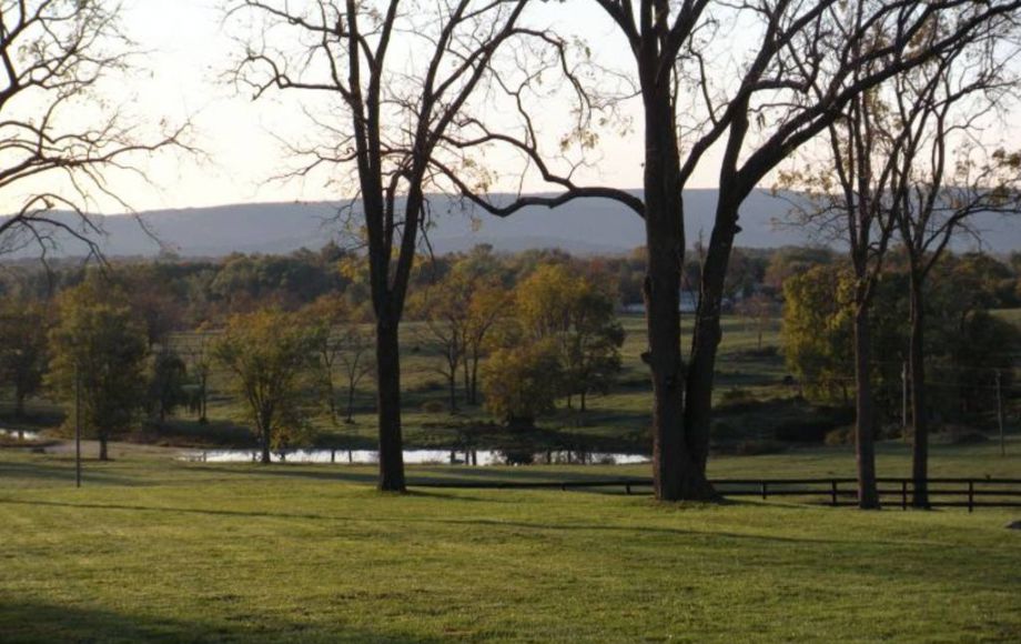 Image for HISTORIC ‘CLIFTON’ on 411 +/- ACRES