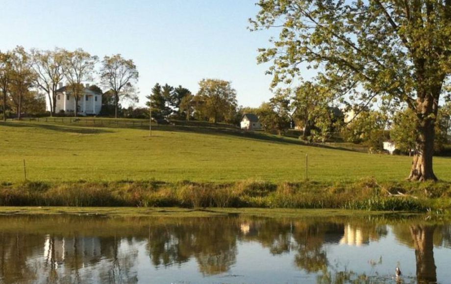 Image for HISTORIC ‘CLIFTON’ on 411 +/- ACRES