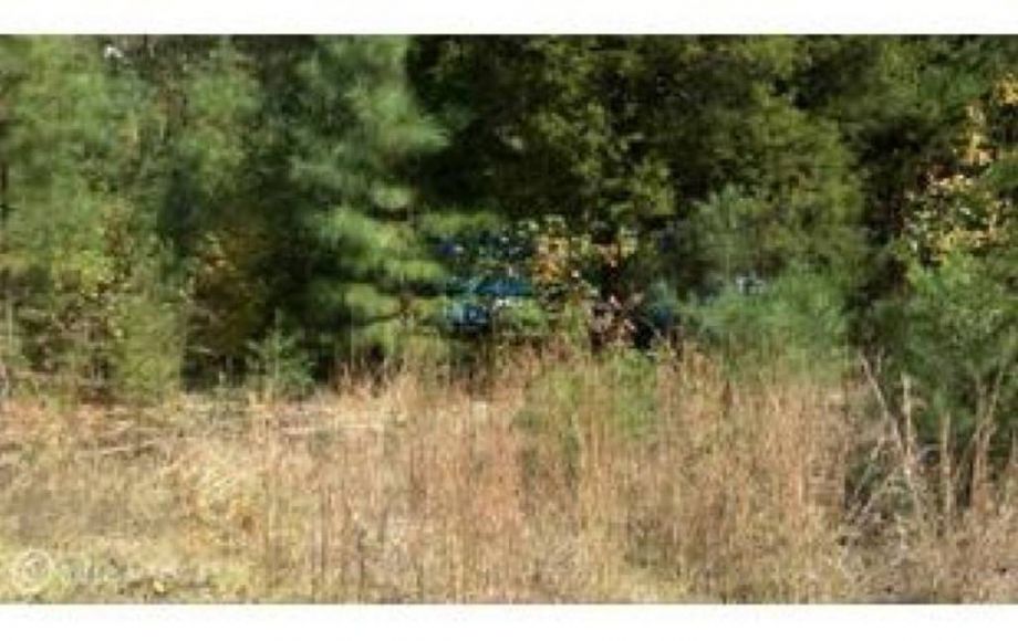 Image for ONLINE ONLY AUCTION—5 ACRES in CAROLINE COUNTY