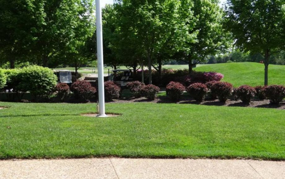 Image for LAKE MANASSAS BUILDING LOT