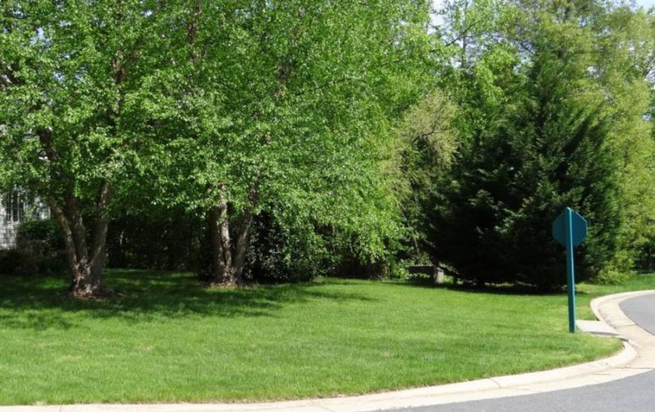 Image for LAKE MANASSAS BUILDING LOT