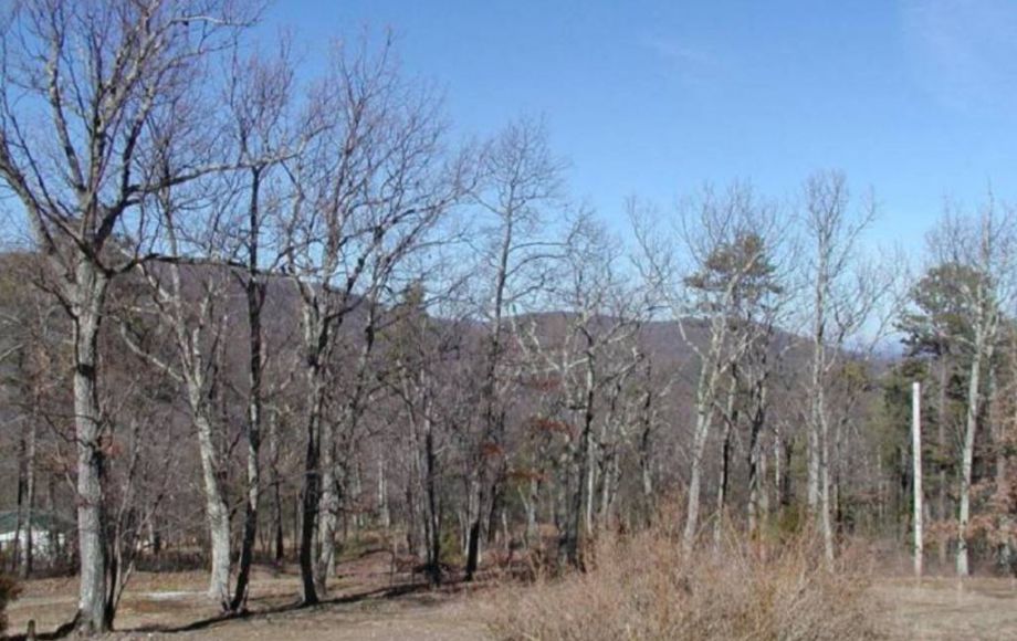 Image for 3 BR/2 BA HOME on 4+ ACRES