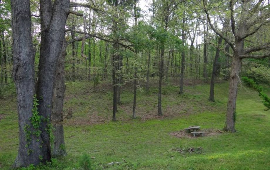 Image for ABSOLUTE AUCTION-3 BR/2 BA HOME on 1 ACRE