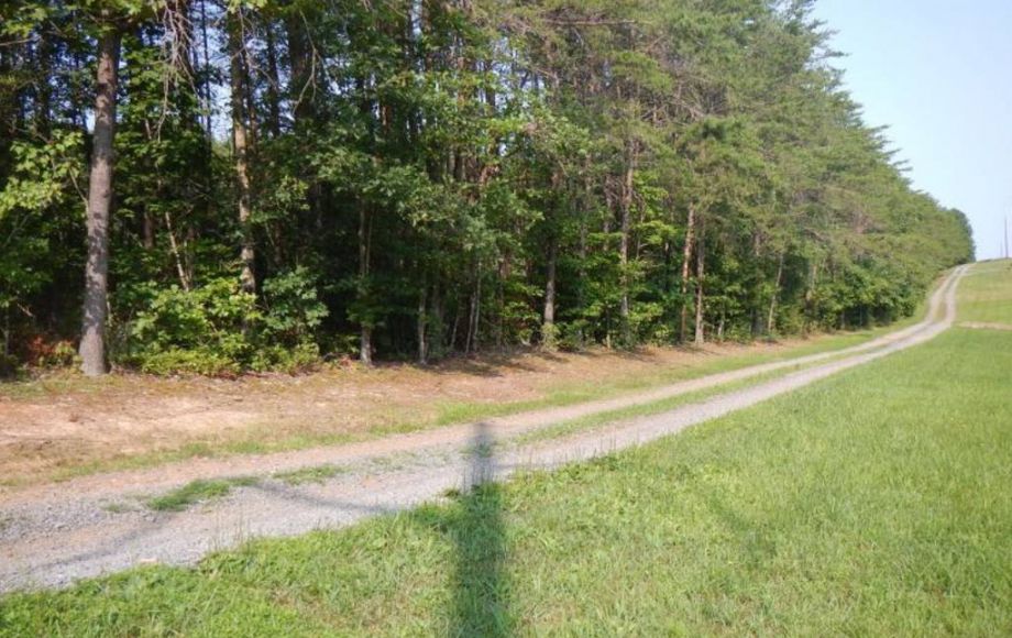 Image for 5 BR/3.5 BA HOME on 5 +/- ACRES