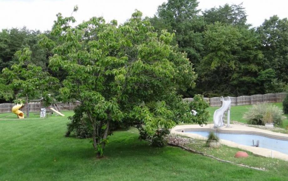 Image for 5 BR/4.5 BA CUSTOM HOME on 22 +/- ACRES