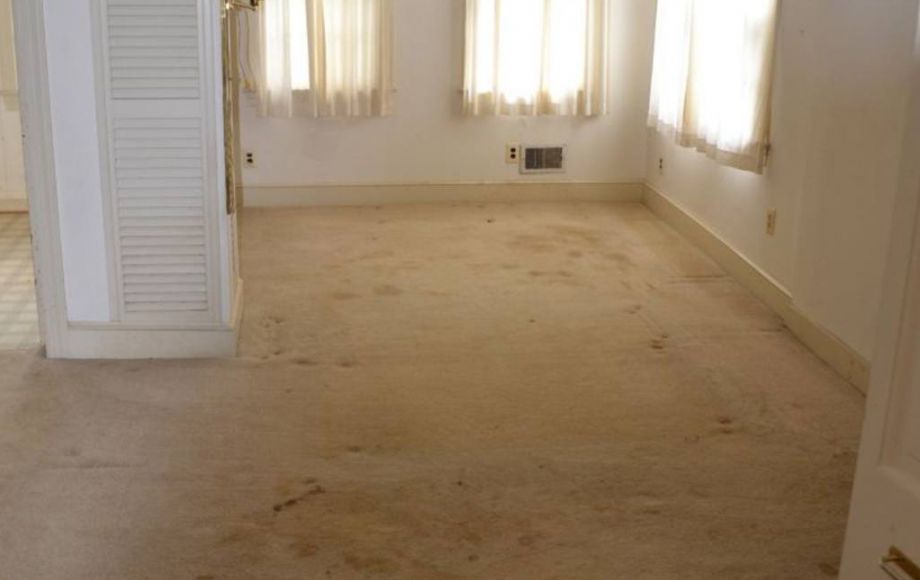 Image for 4 BR/3 BA HOME ON 5.25 +/- PRIME ACRES