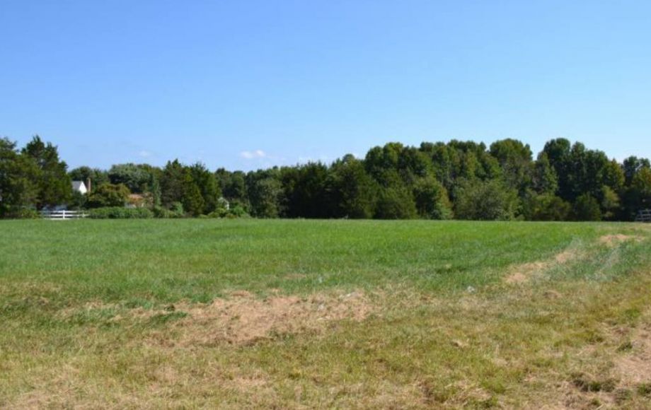 Image for 4 BR/3 BA HOME ON 5.25 +/- PRIME ACRES