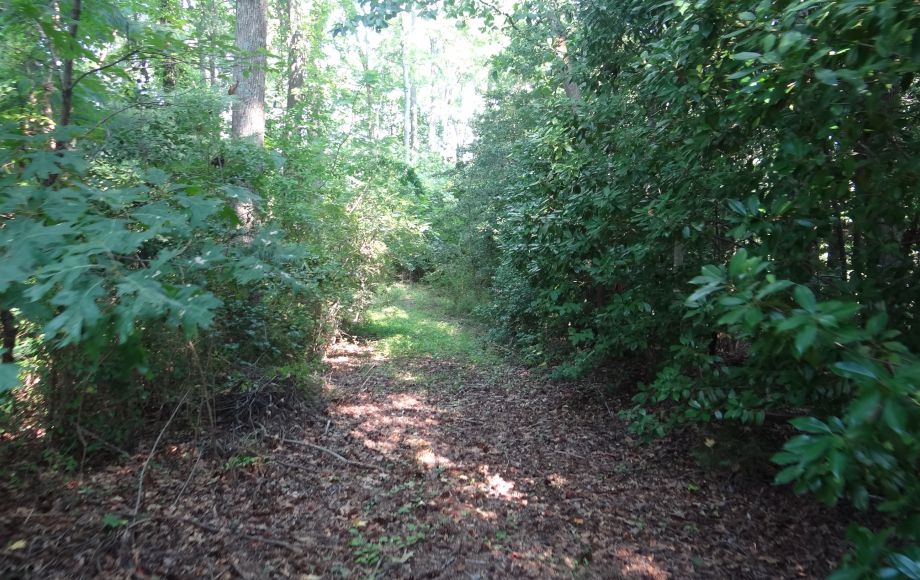 Image for 1+ ACRE WATERFRONT BUILIDNG LOT will be SOLD to the HIGHEST BIDDER