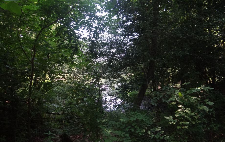 Image for 1+ ACRE WATERFRONT BUILIDNG LOT will be SOLD to the HIGHEST BIDDER