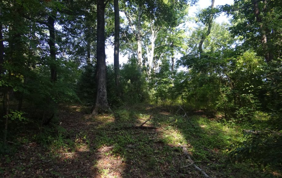 Image for 1+ ACRE WATERFRONT BUILIDNG LOT will be SOLD to the HIGHEST BIDDER