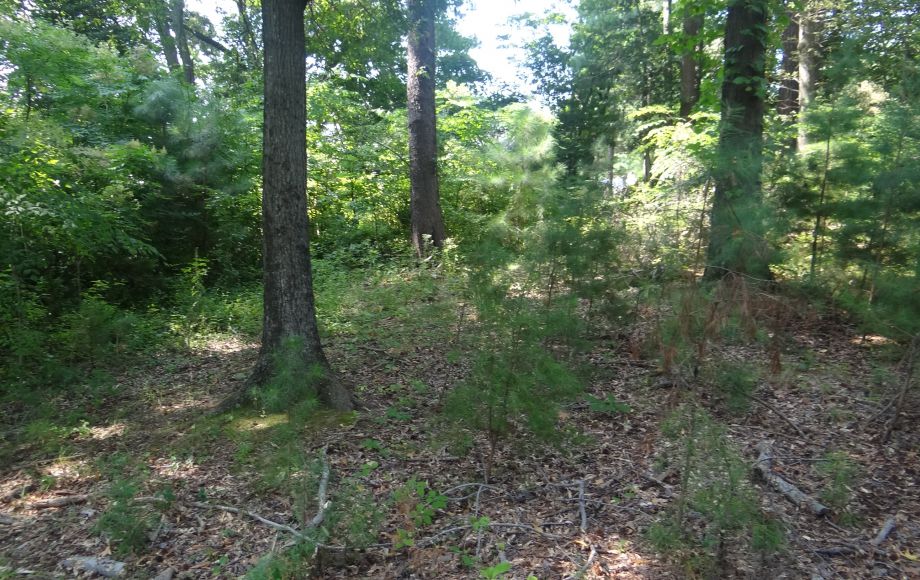 Image for 1+ ACRE WATERFRONT BUILIDNG LOT will be SOLD to the HIGHEST BIDDER