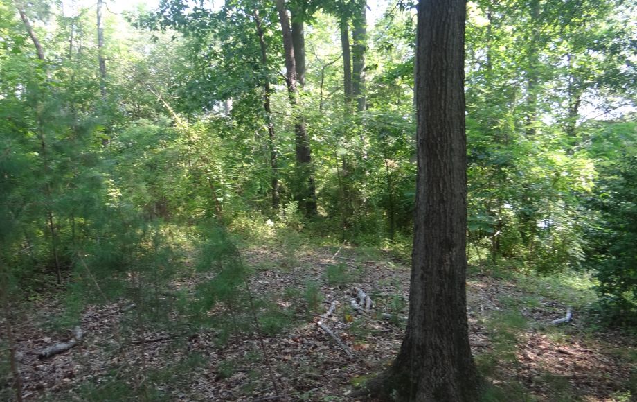 Image for 1+ ACRE WATERFRONT BUILIDNG LOT will be SOLD to the HIGHEST BIDDER