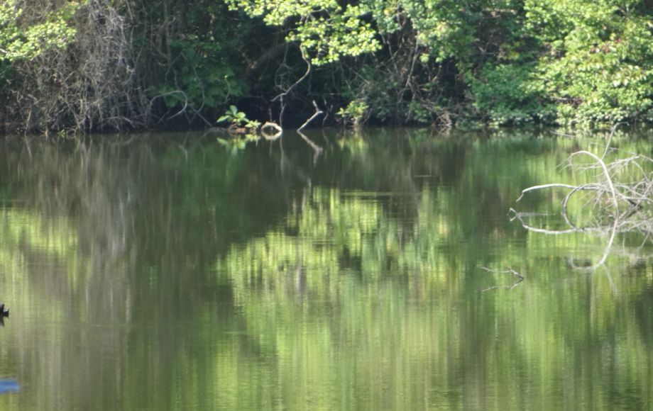 Image for 1+ ACRE WATERFRONT BUILIDNG LOT will be SOLD to the HIGHEST BIDDER