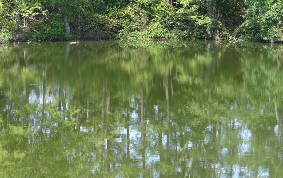 Image for 1+ ACRE WATERFRONT BUILIDNG LOT will be SOLD to the HIGHEST BIDDER