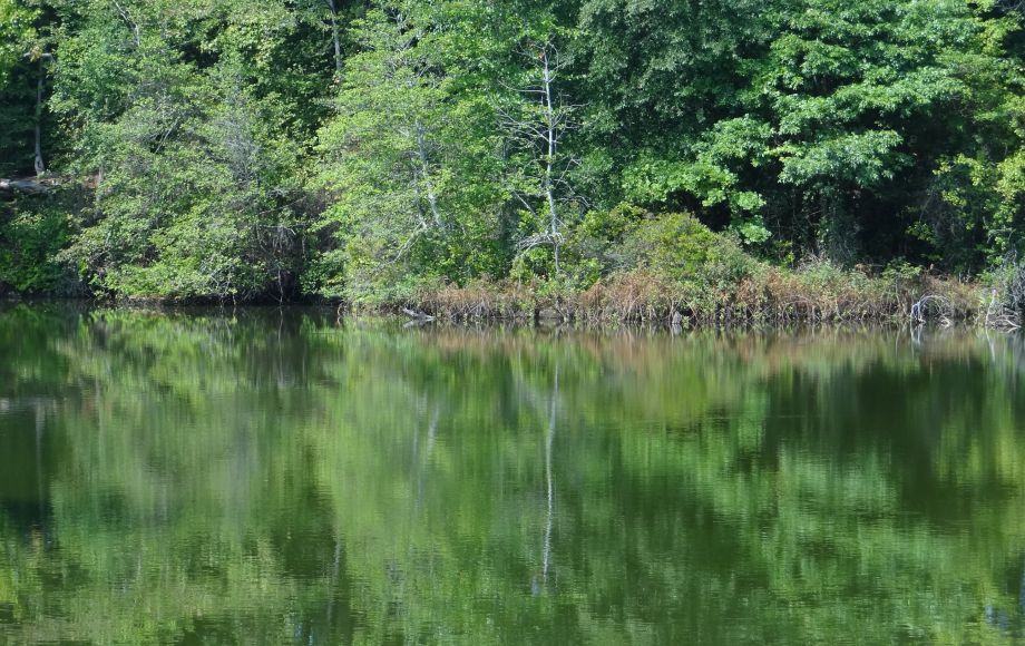 Image for 1+ ACRE WATERFRONT BUILIDNG LOT will be SOLD to the HIGHEST BIDDER