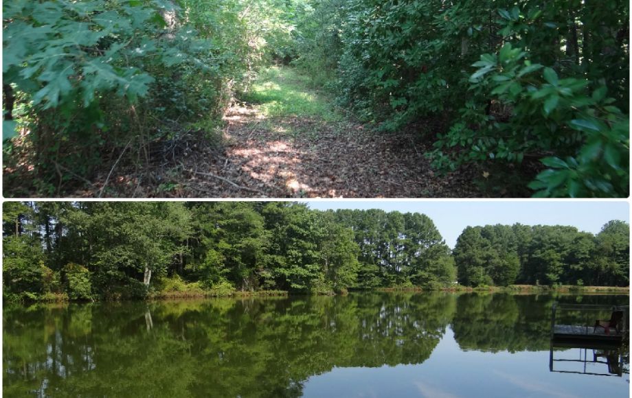 Image for 1+ ACRE WATERFRONT BUILIDNG LOT will be SOLD to the HIGHEST BIDDER