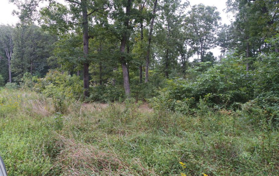 Image for 58 +/- HEAVILY WOODED ACRES in ORANGE COUNTY, VA