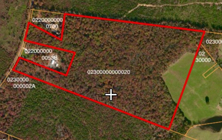 Image for 58 +/- HEAVILY WOODED ACRES in ORANGE COUNTY, VA