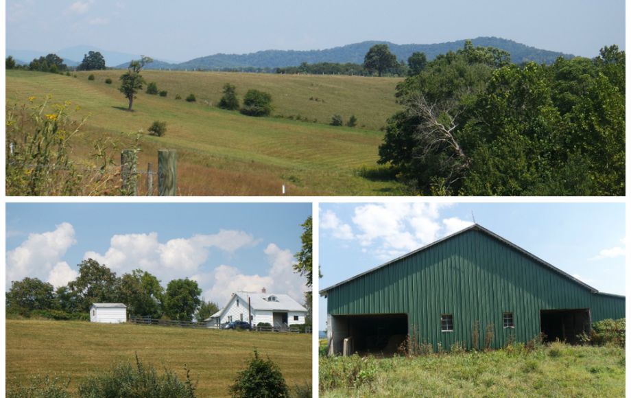 Image for 3 BR HOME on 20 ACRES in CULPEPER COUNTY