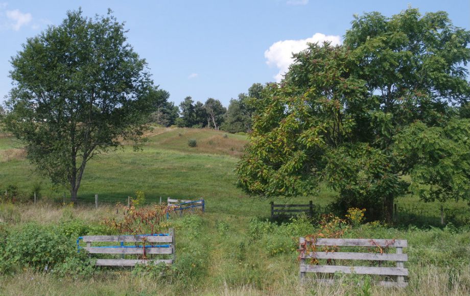 Image for 3 BR HOME on 20 ACRES in CULPEPER COUNTY