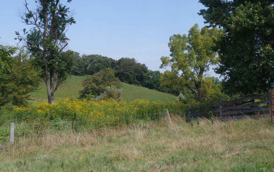 Image for 3 BR HOME on 20 ACRES in CULPEPER COUNTY