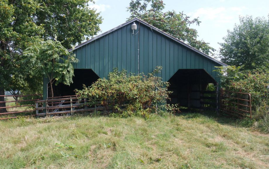 Image for 3 BR HOME on 20 ACRES in CULPEPER COUNTY