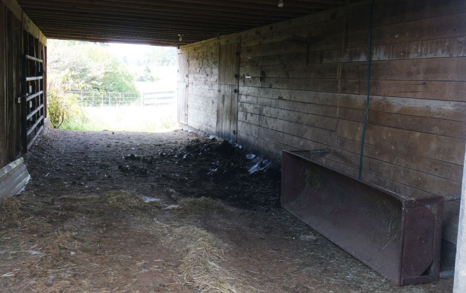 Image for 3 BR HOME on 20 ACRES in CULPEPER COUNTY