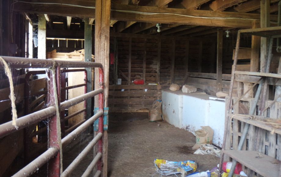 Image for 3 BR HOME on 20 ACRES in CULPEPER COUNTY