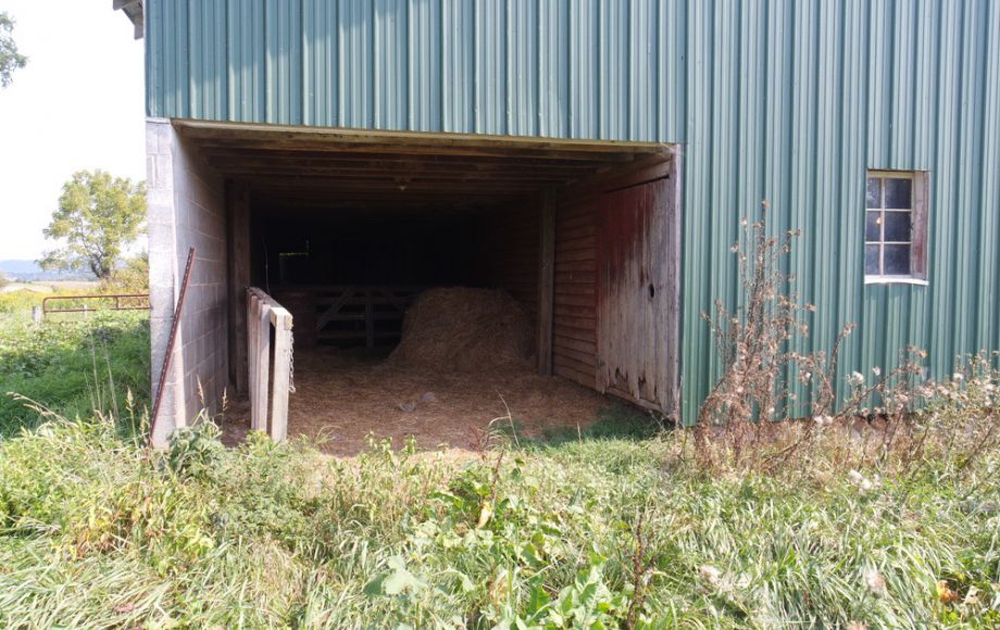 Image for 3 BR HOME on 20 ACRES in CULPEPER COUNTY