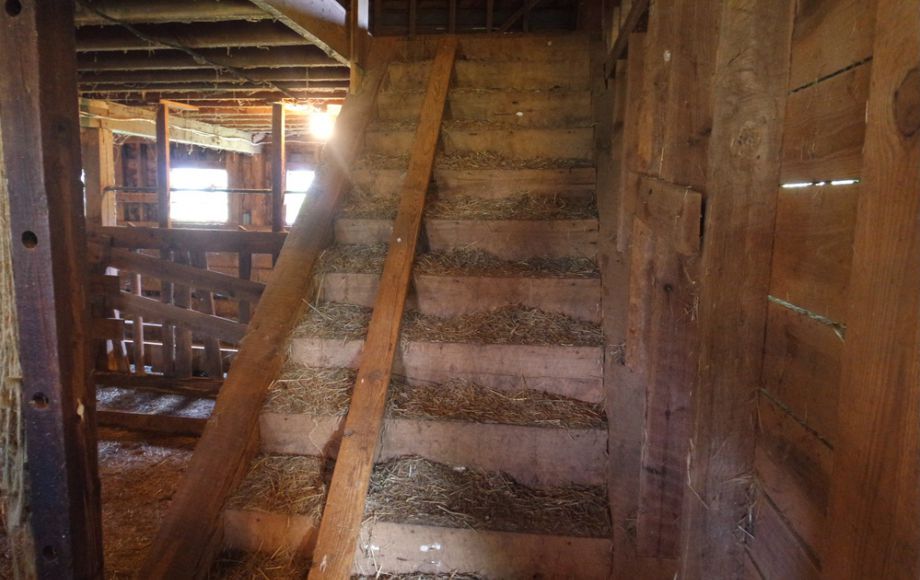 Image for 3 BR HOME on 20 ACRES in CULPEPER COUNTY