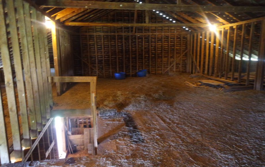 Image for 3 BR HOME on 20 ACRES in CULPEPER COUNTY