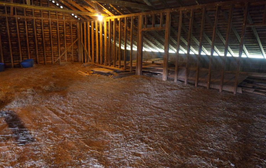 Image for 3 BR HOME on 20 ACRES in CULPEPER COUNTY