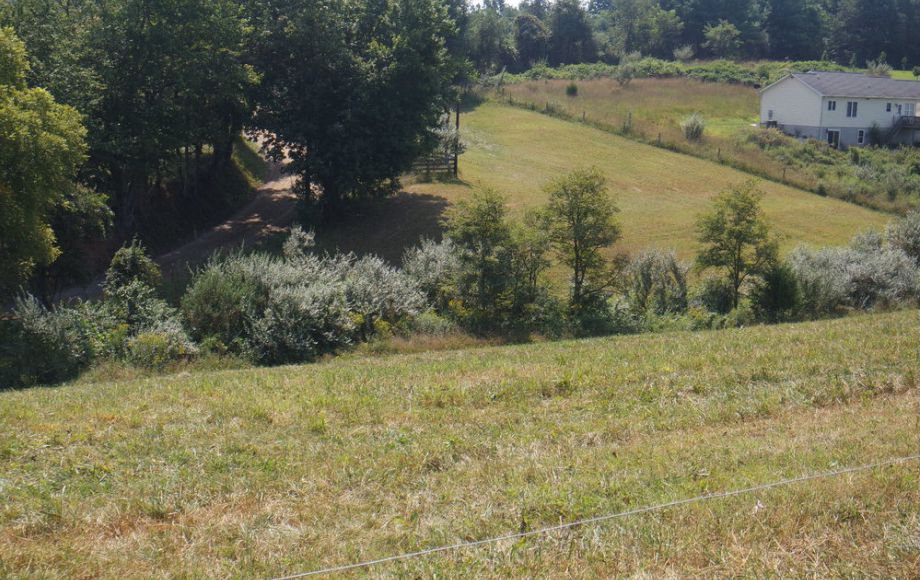 Image for 3 BR HOME on 20 ACRES in CULPEPER COUNTY