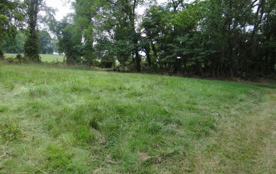 Image for 2 BR/1 BA HOME w/POND & GARAGE APARTMENT ON 14+ ACRES in LOUDOUN COUNTY, VA