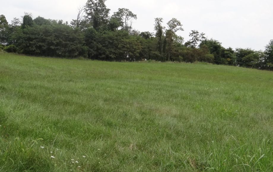 Image for 2 BR/1 BA HOME w/POND & GARAGE APARTMENT ON 14+ ACRES in LOUDOUN COUNTY, VA