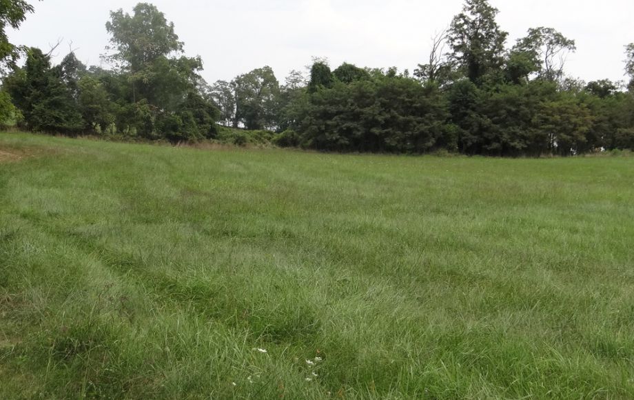 Image for 2 BR/1 BA HOME w/POND & GARAGE APARTMENT ON 14+ ACRES in LOUDOUN COUNTY, VA