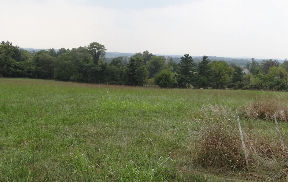 Image for 2 BR/1 BA HOME w/POND & GARAGE APARTMENT ON 14+ ACRES in LOUDOUN COUNTY, VA