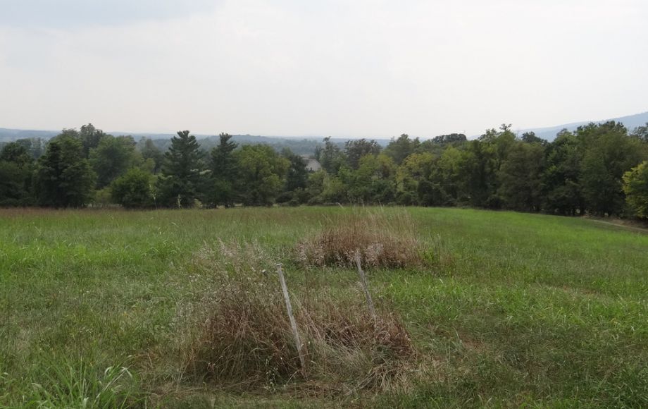 Image for 2 BR/1 BA HOME w/POND & GARAGE APARTMENT ON 14+ ACRES in LOUDOUN COUNTY, VA