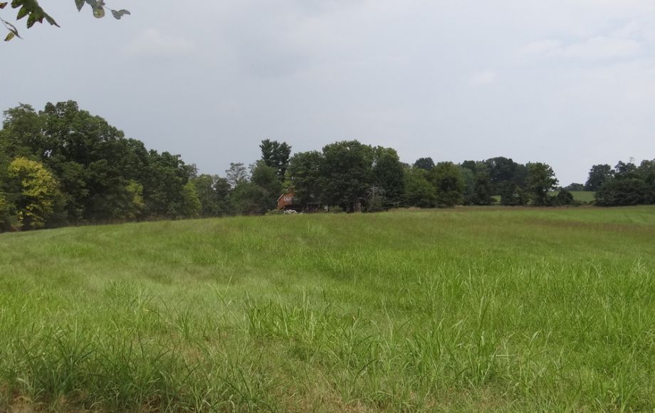 Image for 2 BR/1 BA HOME w/POND & GARAGE APARTMENT ON 14+ ACRES in LOUDOUN COUNTY, VA