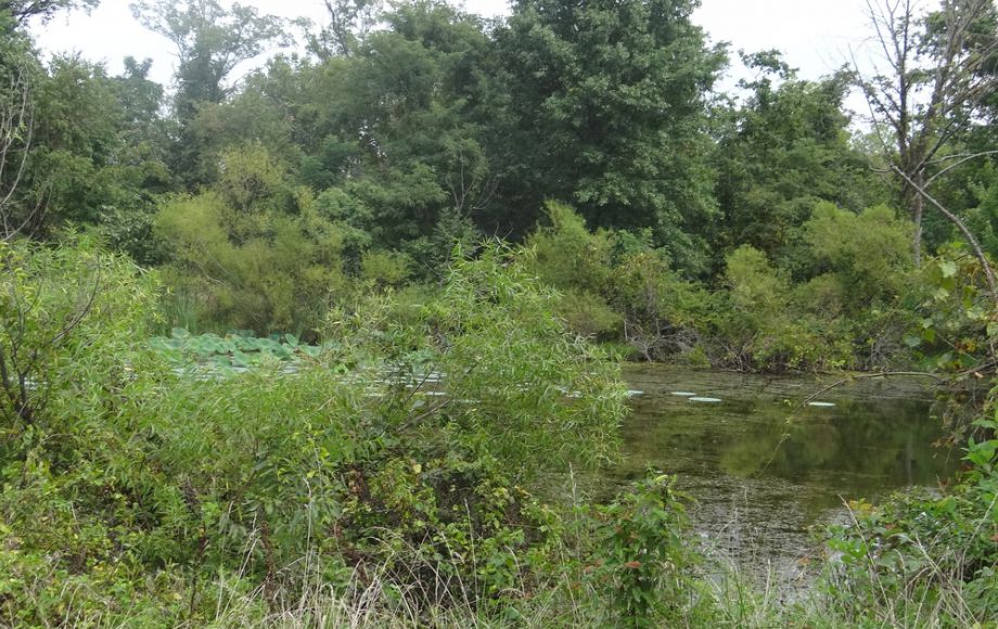 Image for 2 BR/1 BA HOME w/POND & GARAGE APARTMENT ON 14+ ACRES in LOUDOUN COUNTY, VA