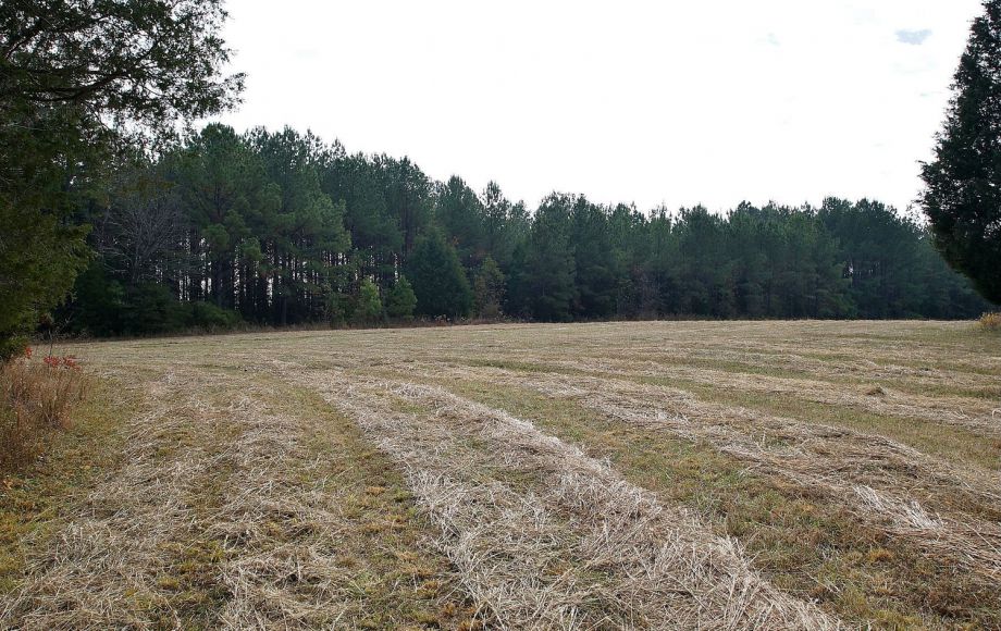 Image for HICKORY KNOLLS FARM: 200 +/- ACRES w/5 BR RESTORED VICTORIAN FARM HOUSE