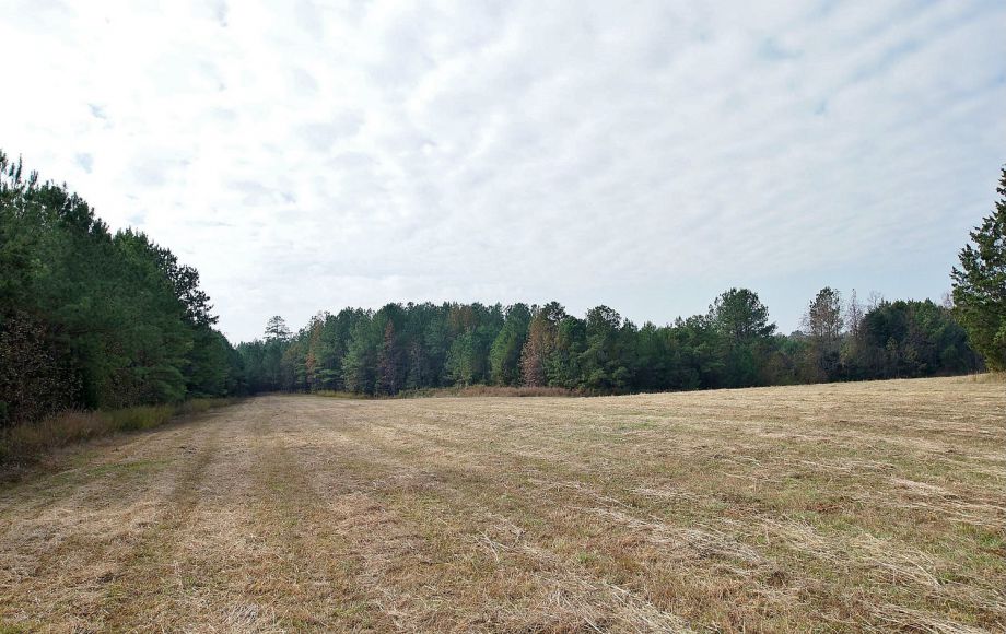 Image for HICKORY KNOLLS FARM: 200 +/- ACRES w/5 BR RESTORED VICTORIAN FARM HOUSE