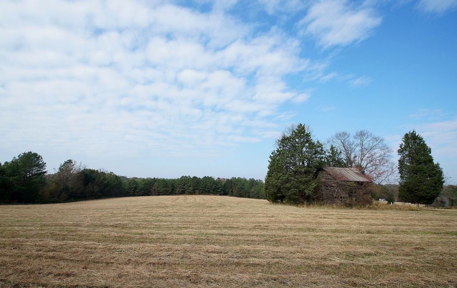 Image for HICKORY KNOLLS FARM: 200 +/- ACRES w/5 BR RESTORED VICTORIAN FARM HOUSE